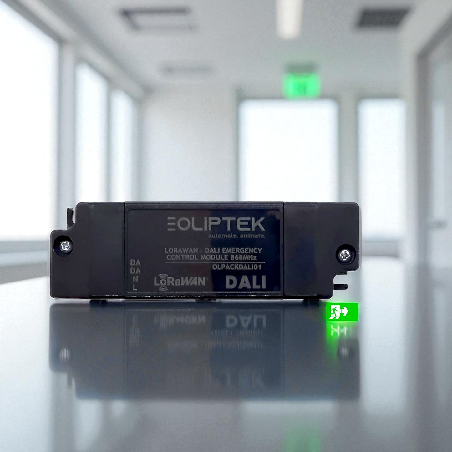LoRaWAN Emergency Lighting Interface